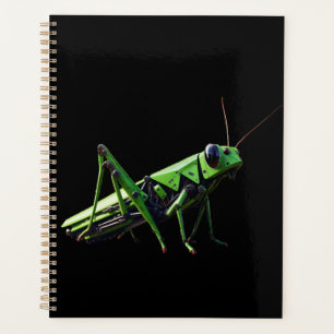 Mechanical Grasshopper Planner
