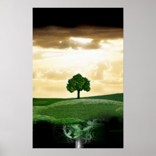 mechanical root poster