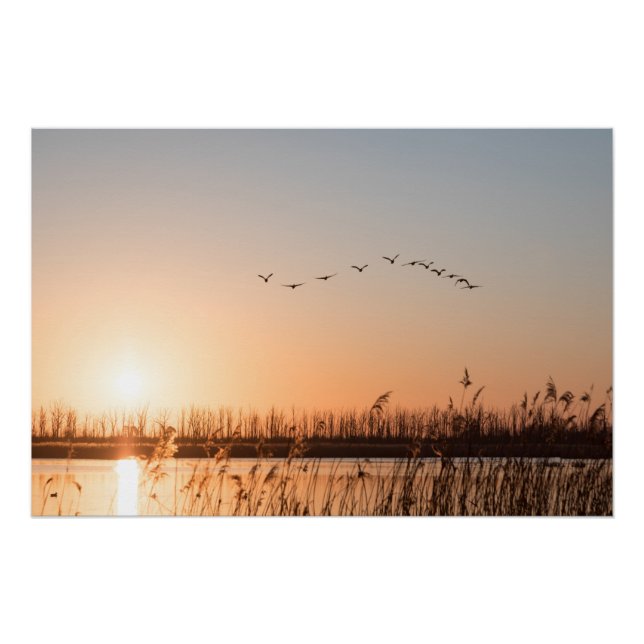 Mecklenburg-Vorpommern Nature Photo Poster (Front)