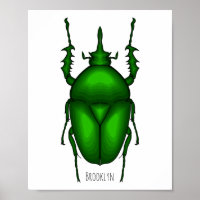 Mecynorhina torquata bug cartoon illustration