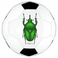 Mecynorhina torquata bug cartoon illustration