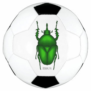 Mecynorhina torquata bug cartoon illustration  soccer ball
