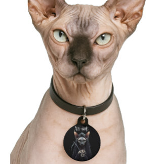 Médaille personnalisée pour chat Sphynx Faucheuse