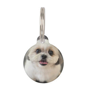 Médaille pour animaux personnalisée promotionnelle