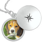 photo de chien de personnaliser