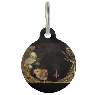 Médaillon Pour Animaux A Mama and Her Chicks