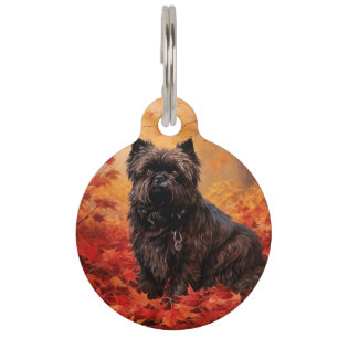 Médaillon Pour Animaux Affenpinscher dans Feuilles d'Automne Inspirées de