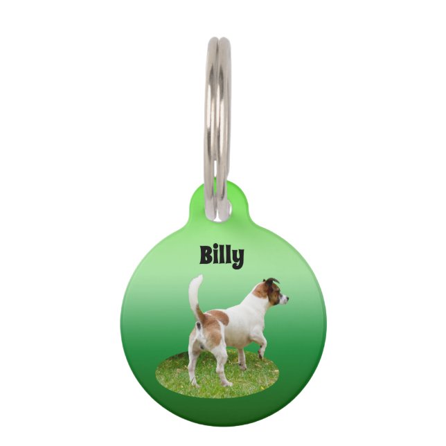 Médaillon Pour Animaux Alerte Fox Terrier Miniature,  Insigne de Compagni (Devant)