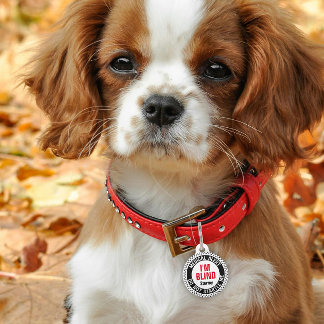 Médaillon Pour Animaux Alerte Médicale Personnalisée pour Animaux Aveugle