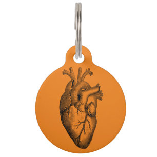 Médaillon Pour Animaux Anatomie cardiaque Science Orange