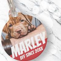Animal BFF Meilleur ami Photo Moderne Cool Simple