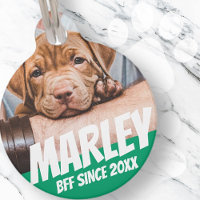 Animal BFF Meilleur ami Photo Moderne Cool Simple