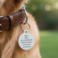Animaux de compagnie Voyage Accueil Chien Chat Tag