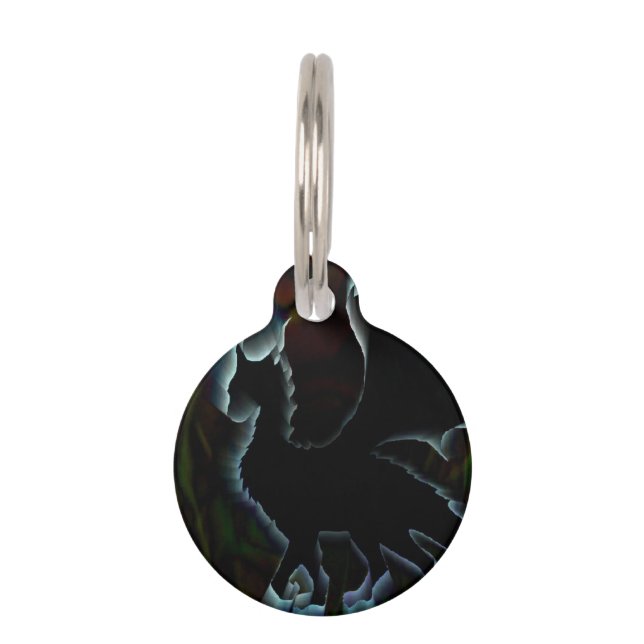 Médaillon Pour Animaux Aura de dragon (Devant)