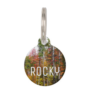 Médaillon Pour Animaux Automne dans la forêt Colorée Photographie d'autom