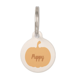 Médaillon Pour Animaux Automne Harvest Little Citrouille Nom personnalisé