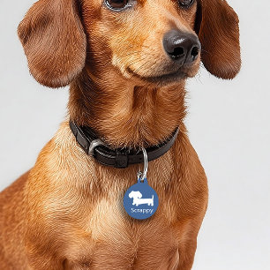 Médaillon Pour Animaux Balise Chien Dachshund Wiener ID Chien Bleu