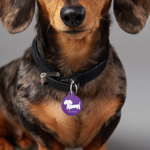 Médaillon Pour Animaux Balise Dachshund Wiener Chien pourpre ID Chien