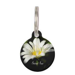 Médaillon Pour Animaux Balise de chien rond Oxeye Daisy