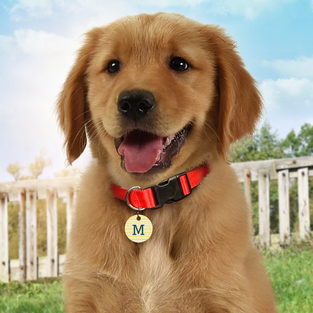 Médaillon Pour Animaux Balise d'identification de chien de monogramme per (Créateur téléchargé)