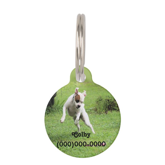 Médaillon Pour Animaux Balise Float Pet ID (Devant)