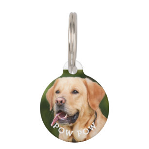Médaillon Pour Animaux Balise personnalisée de photo et de nom de animal 