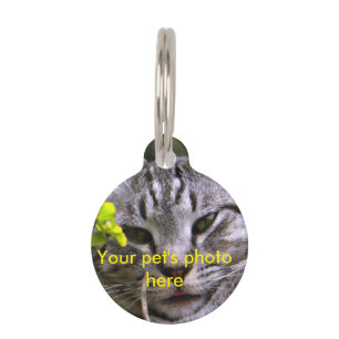 Médaillon Pour Animaux Balise photo pour animal de compagnie personnalisa