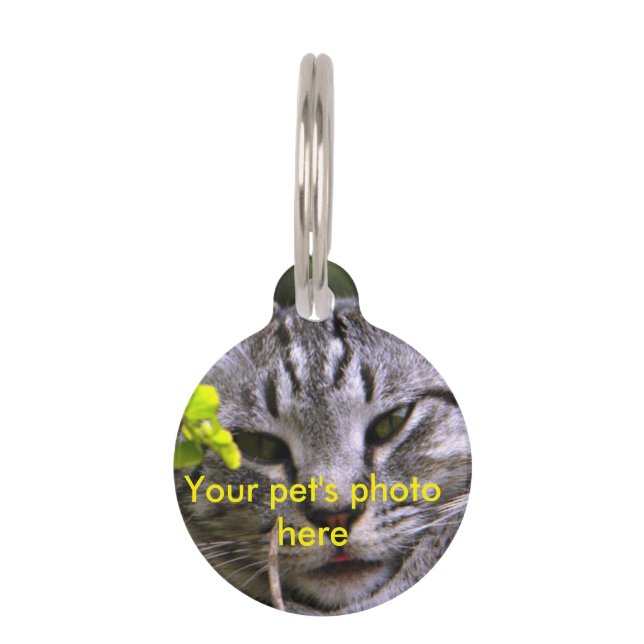 Médaillon Pour Animaux Balise photo pour animal de compagnie personnalisa (Devant)