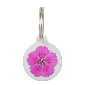 Médaillon Pour Animaux Balise Pink Dianthus Pet