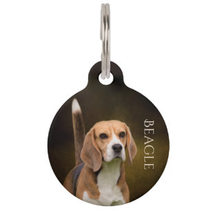 Médaillon Pour Animaux Beagle