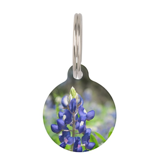 Médaillon Pour Animaux Bluebonnet (Devant)