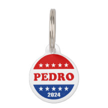 Bouton Pedro Voter 2024 Élections USA