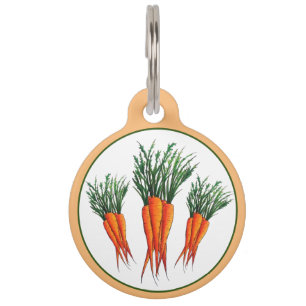 Médaillon Pour Animaux Bunch de carottes Orange Vegetable Veggie Garden