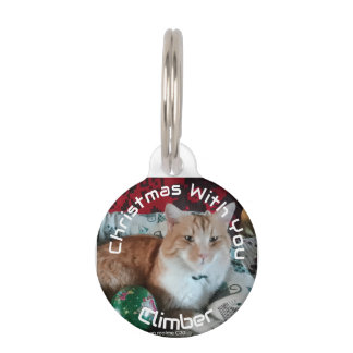Médaillon Pour Animaux Cadeau de Noël pour chat avec deux photos et nom