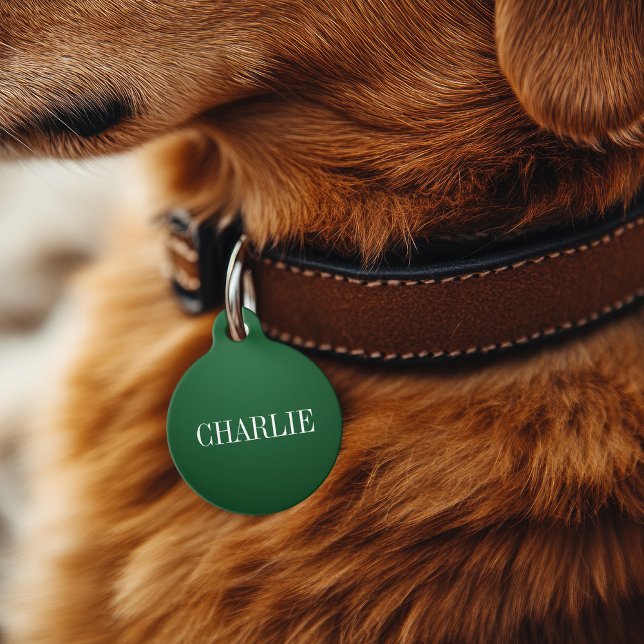 Médaillon Pour Animaux Charlie Classic Nom Monogramme | Green (Créateur téléchargé)