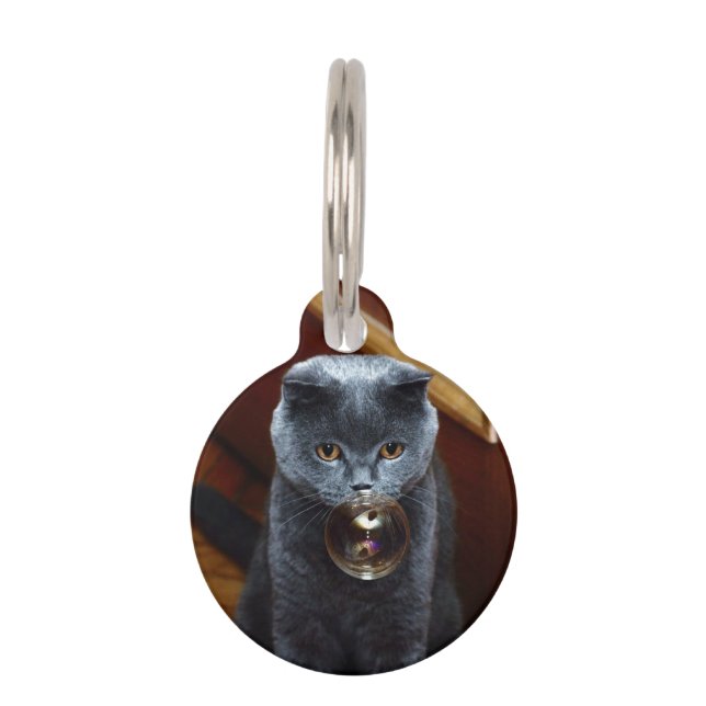 Médaillon Pour Animaux Chat et bulle de savon (Devant)