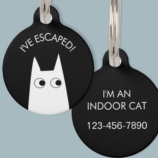 Médaillon Pour Animaux Chat intérieur Chat blanc évincé (Escaped Indoor Cat personalized phone number white cat pet tag)