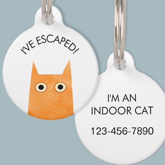 Médaillon Pour Animaux Chat intérieur Gingembre Échappé Chat orange (Escaped Indoor Cat personalized phone number orange ginger cat pet tag)