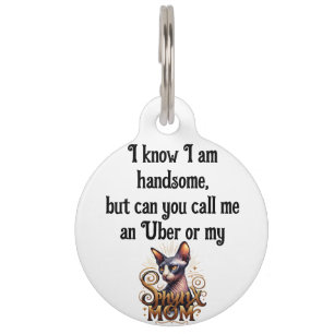Médaillon Pour Animaux Chat Sphynx Beau Personnalisé Drôle