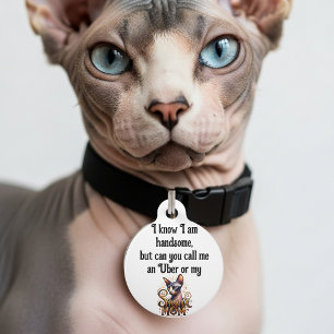 Médaillon Pour Animaux Chat Sphynx Drôle 