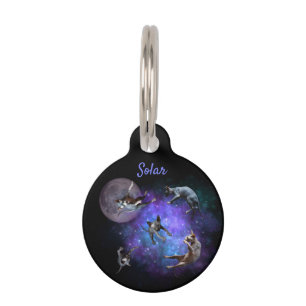 Médaillon Pour Animaux Chats Sphynx Espace Chatons Flottants dans la Gala