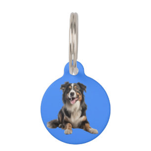 Médaillon Pour Animaux Chien berger australien vivant  