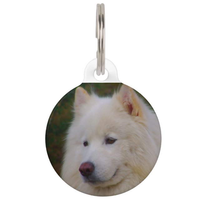 Médaillon Pour Animaux Chien Husky Samoyède. (Devant)