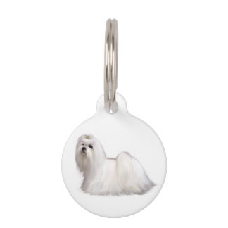 Médaillon Pour Animaux Chien maltais