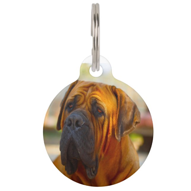 Médaillon Pour Animaux Chien Mastiff. (Devant)