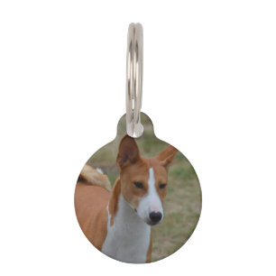 Médaillon Pour Animaux Chien stupéfiant de Basenji