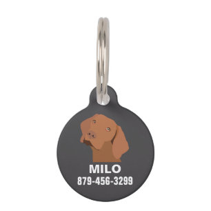 Médaillon Pour Animaux Chien Vizsla personnalisé