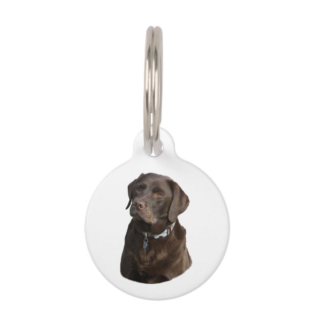 Médaillon Pour Animaux Chocolate Labrador dog photo (Devant)