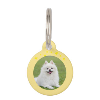 Médaillon Pour Animaux Christmas Round Pet Tag – Festive Holiday ID Tag