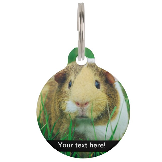 Médaillon Pour Animaux Cobaye (Dos)